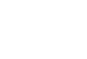 Walid Karanouh signature